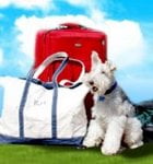 Chaucer's Dog-Friendly Travel Reviews