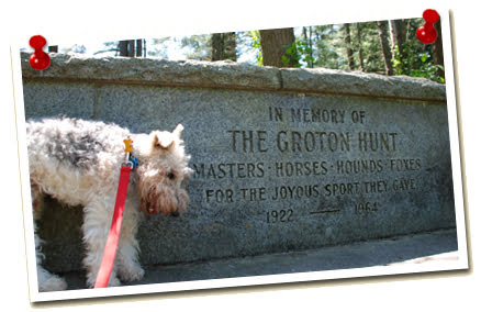 Chaucer at the In Memory of the Groton Hunt Memorial