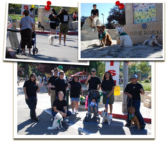 9th Annual Wiggle Waggle Walk