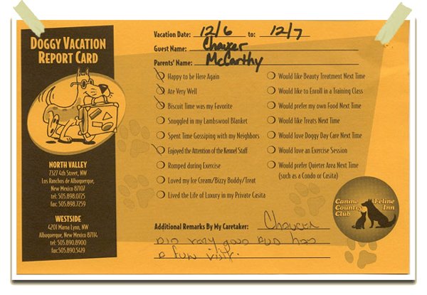 Canine Country Club Doggy Report Card