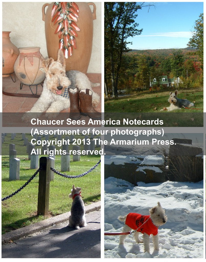 Chaucer the Dog Sees America Note Cards
