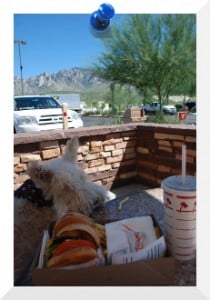 In-N-Out Burger in Oro Valley